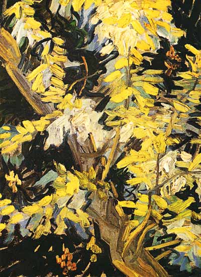 Acacia in fiore a Vincent Van Gogh