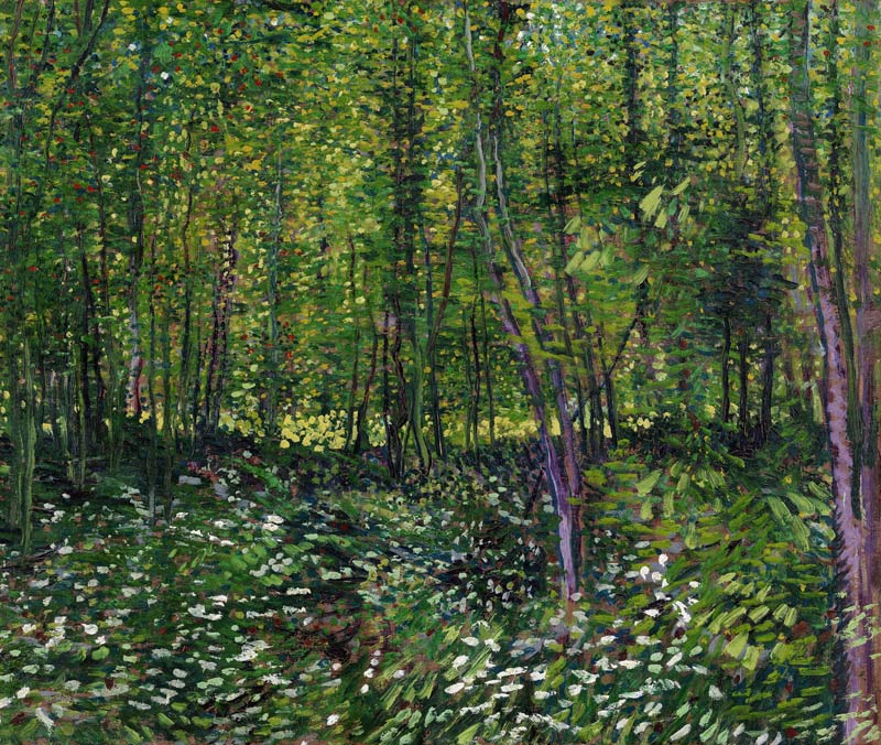 Trees and underwood a Vincent Van Gogh