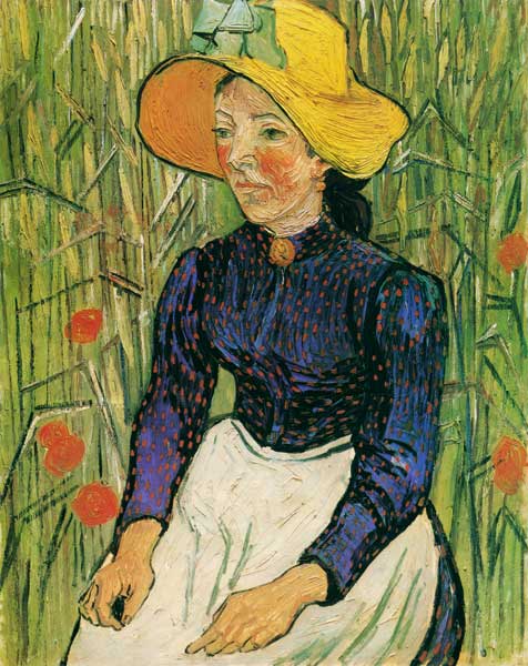 Portrait of a young farmer a Vincent Van Gogh