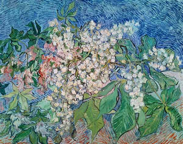 van Gogh / Blossoming Chestnut Branches a Vincent Van Gogh