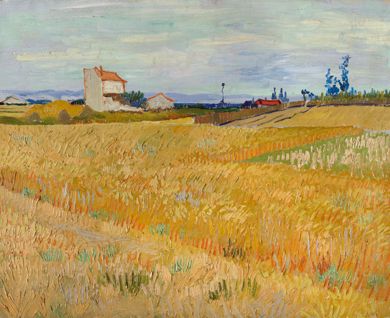 Van Gogh / Cornfield / c.1888 a Vincent Van Gogh