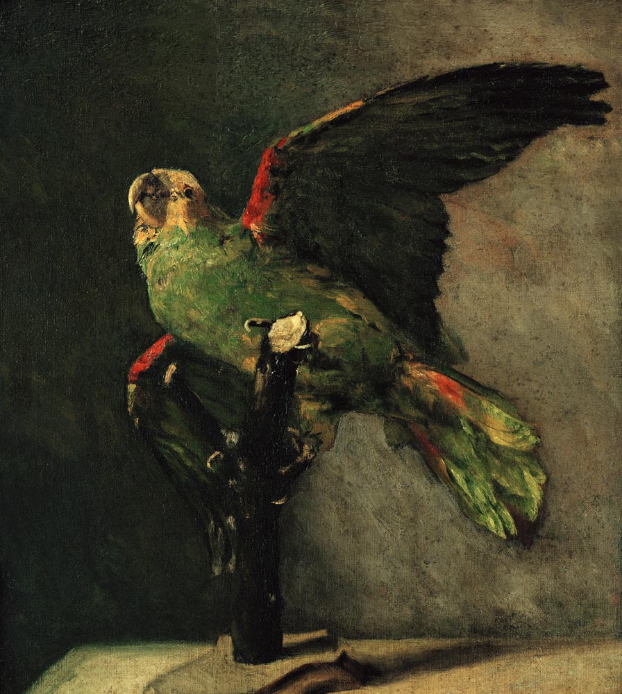 Der grüne Papagei a Vincent Van Gogh