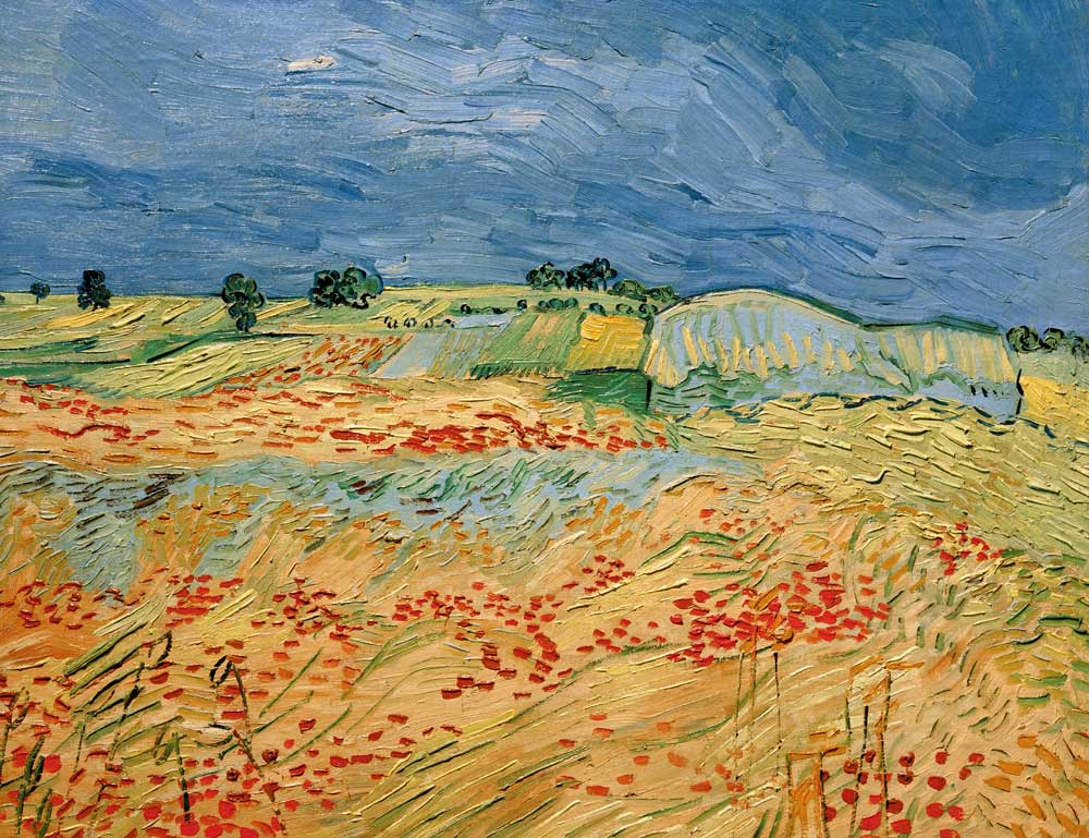 Van Gogh / Fields with Blooming Poppies a Vincent Van Gogh