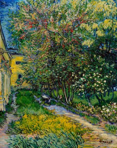 Van Gogh / St.-Rémy Hospital Garden a Vincent Van Gogh