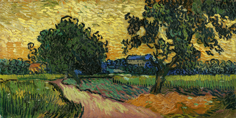 a Vincent Van Gogh