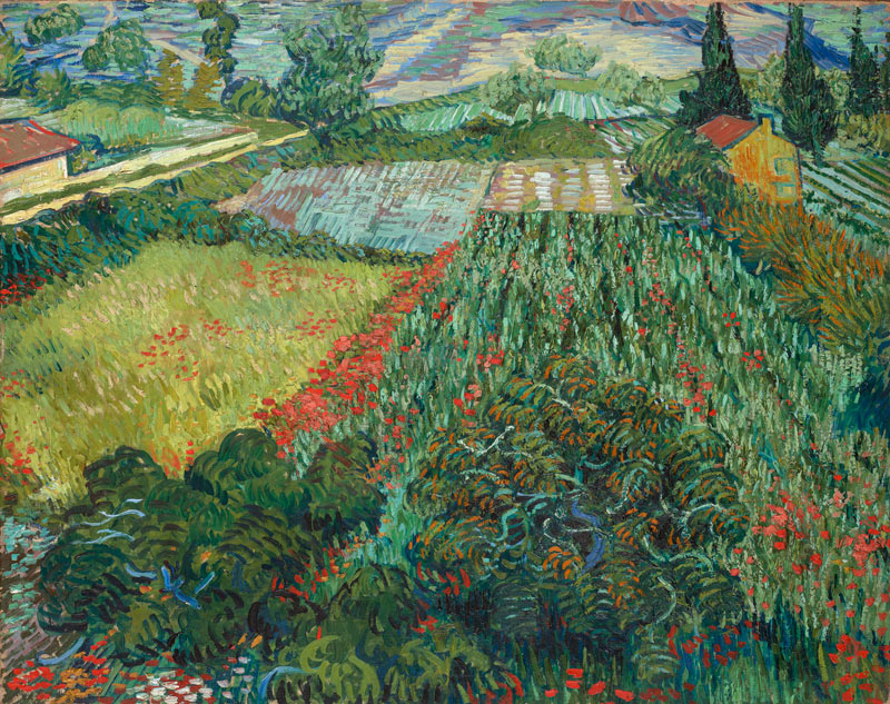Campo di papaveri a Vincent Van Gogh