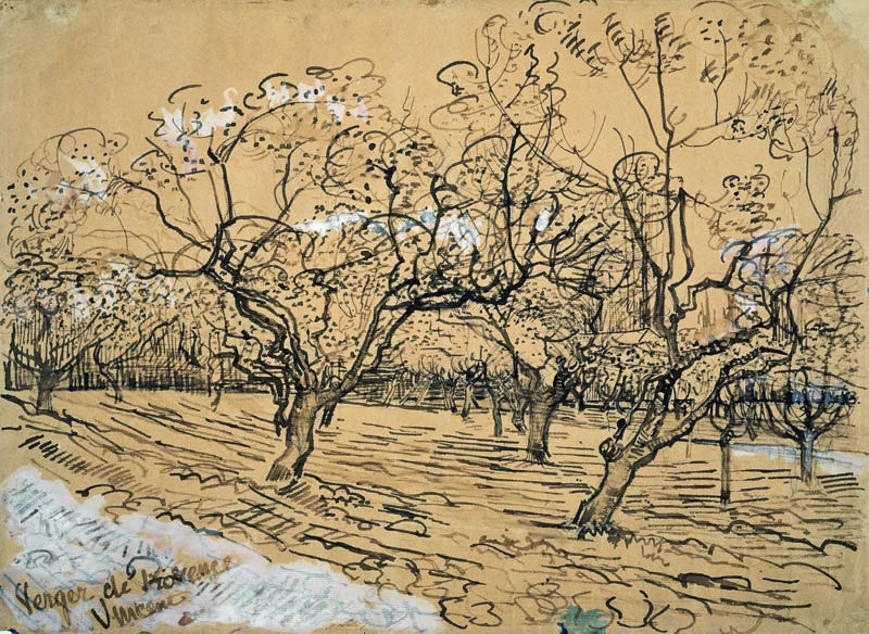 V.van Gogh, Orchard / Drawing / 1888 a Vincent Van Gogh