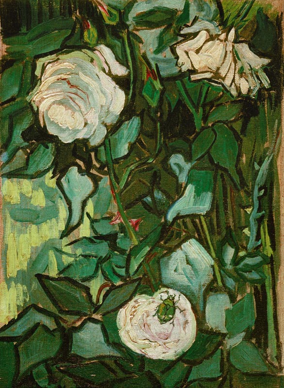 Roses and Beetle a Vincent Van Gogh