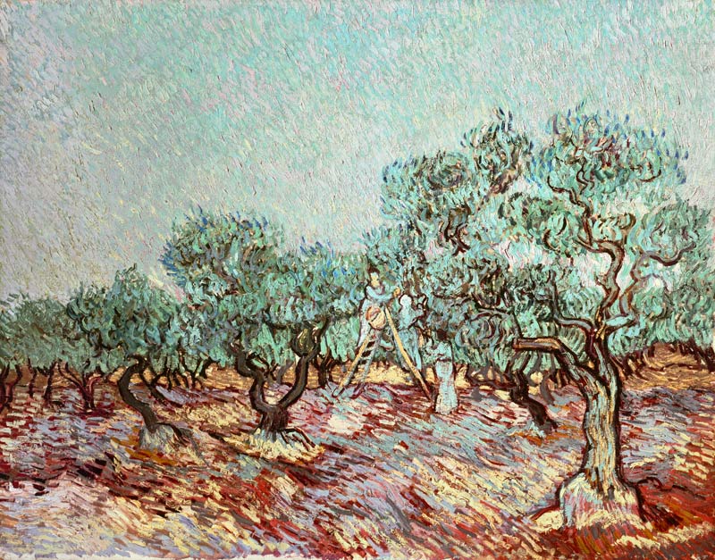 Van Gogh / The Olive Gatherers a Vincent Van Gogh