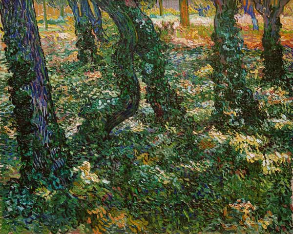Undergrowth a Vincent Van Gogh