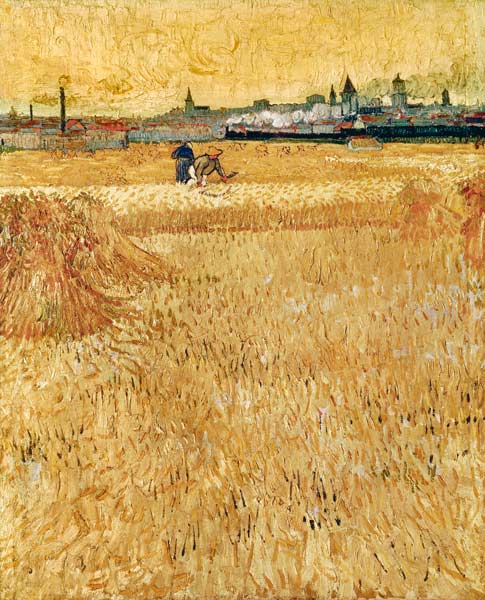 Campi di grano ad Arles a Vincent Van Gogh