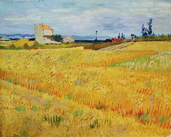 V.v.Gogh, Wheat Field / Paint./ 1888 a Vincent Van Gogh