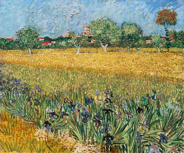 Veduta di Arles con fioritura di iris in primo piano a Vincent Van Gogh