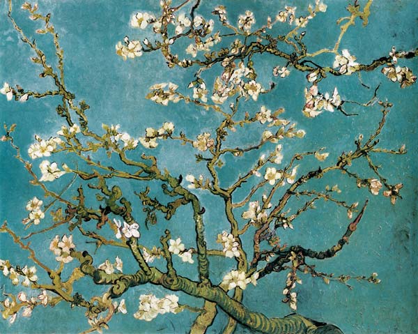 Ramo di mandorlo in fiore a Vincent Van Gogh