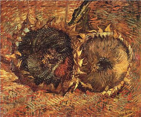 Two Cut Sunflowers a Vincent Van Gogh