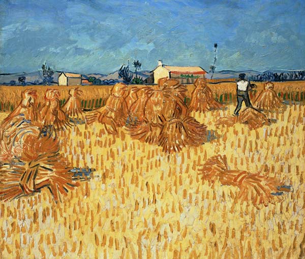 Raccolta in provenza a Vincent Van Gogh