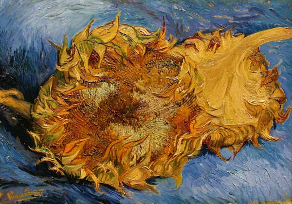 The Sunflowers a Vincent Van Gogh