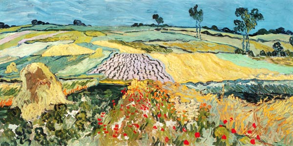 Pianura ad Auvers a Vincent Van Gogh
