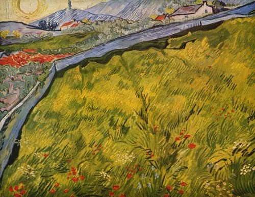 The meadow fenced in a Vincent Van Gogh