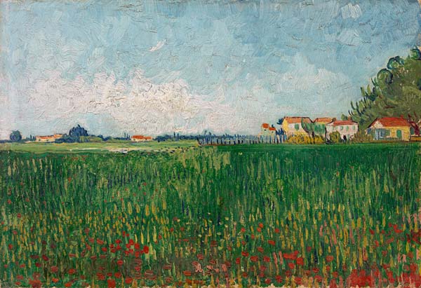 Campo di papaveri a Vincent Van Gogh