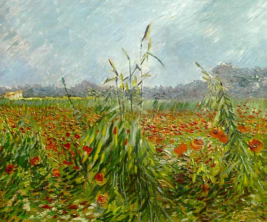 Spighe verdi di grano a Vincent Van Gogh