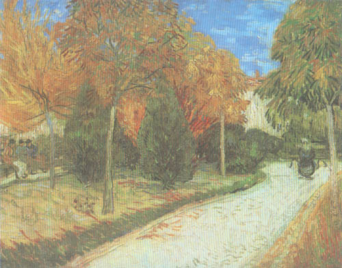 Path in the Park at Arles a Vincent Van Gogh