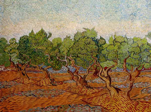 Van Gogh, Olive Grove / Paint./ 1889 a Vincent Van Gogh