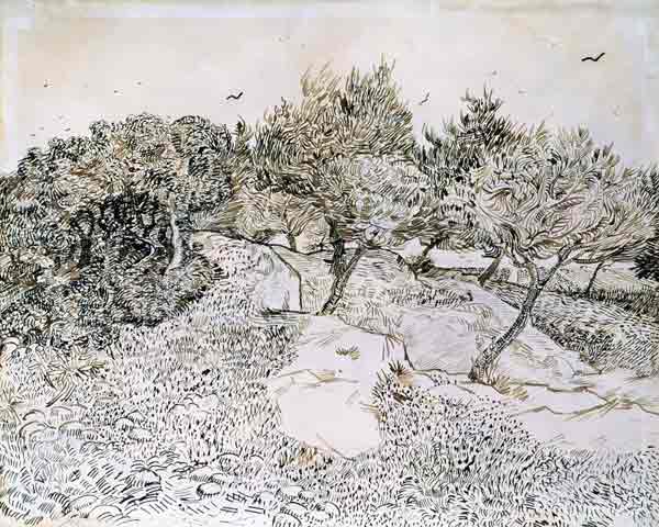 The Olive Trees (pen & ink on paper) a Vincent Van Gogh