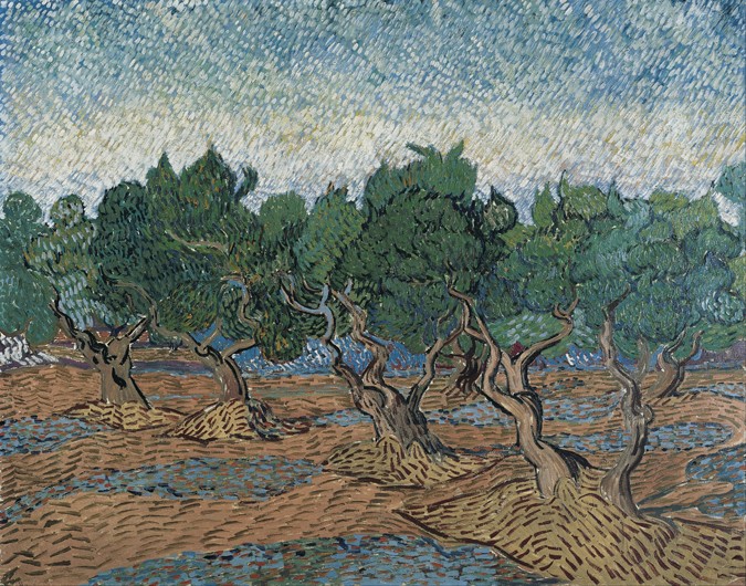 Olive grove a Vincent Van Gogh