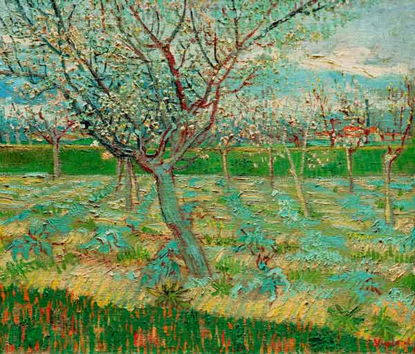 Frutteto in fiore a Vincent Van Gogh