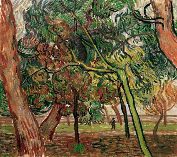 V.van Gogh, Study of Pine Trees / 1889 a Vincent Van Gogh