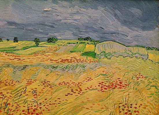 Plain at Auvers a Vincent Van Gogh