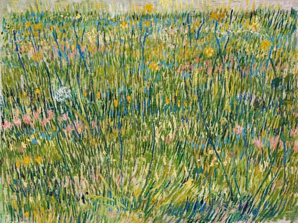 Patch of grass a Vincent Van Gogh