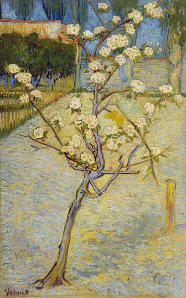 Small pear tree in blossom a Vincent Van Gogh