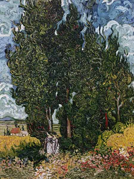 The cypresses, c.1889-90 a Vincent Van Gogh