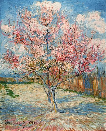 Pesco in fiore - Vincent Van Gogh