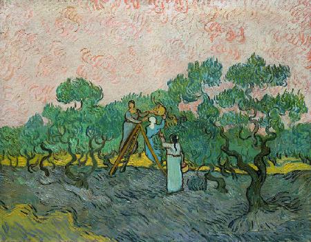 The Olive Pickers, Saint-Remy