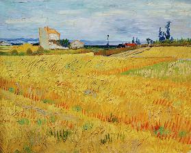 V.v.Gogh, Wheat Field / Paint./ 1888