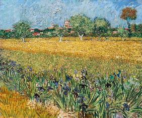 Veduta di Arles con fioritura di iris in primo piano