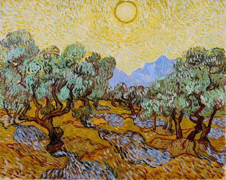 Olivi sotto il sole - Vincent Van Gogh