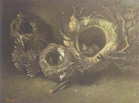 Still life with three bird's nests