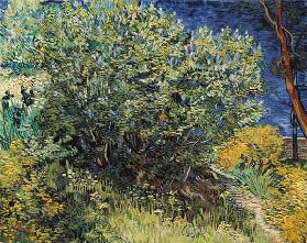 V.v.Gogh / Lilacs / Painting / 1889