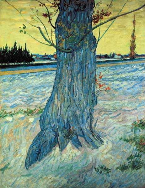 van Gogh / The Tree / 1888 a Vincent Van Gogh