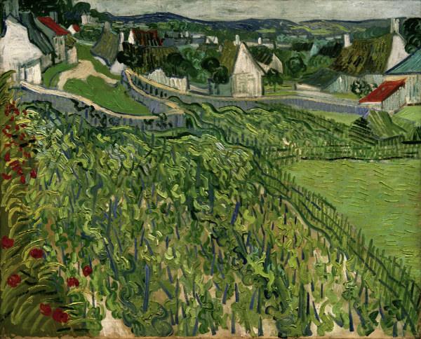 van Gogh / Vineyards at Auvers / 1890 a Vincent Van Gogh