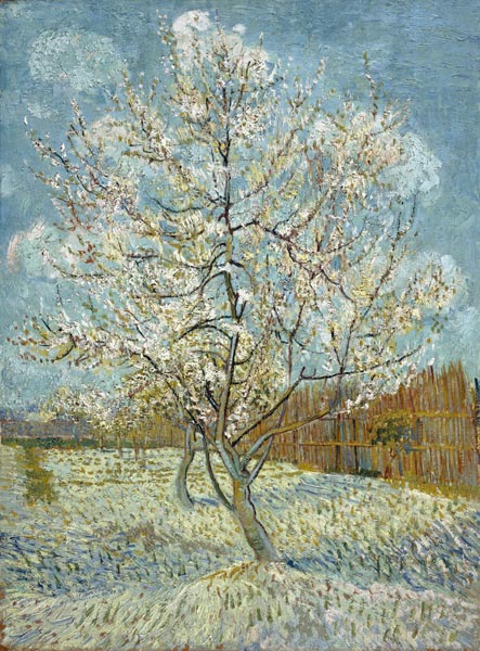 The Pink Peach Tree a Vincent Van Gogh