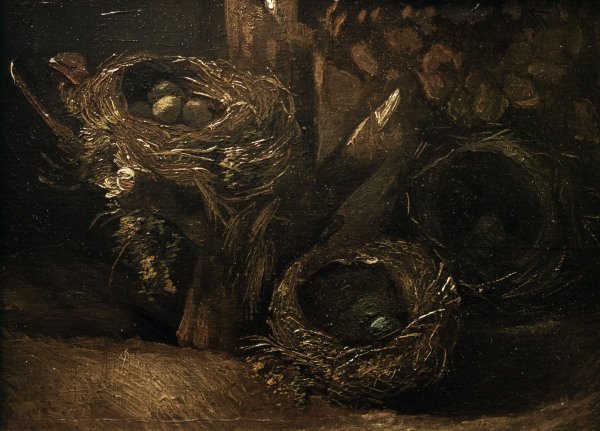 v.Gogh / Bird s nests / 1885 a Vincent Van Gogh
