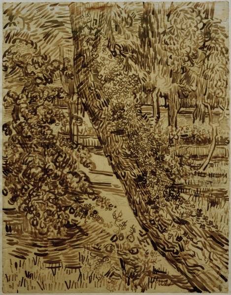 v.Gogh, Tree w.Ivy in Asylum Garden a Vincent Van Gogh