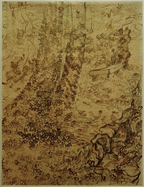 v.Gogh, Trees w.Ivy in Asylum Garden a Vincent Van Gogh