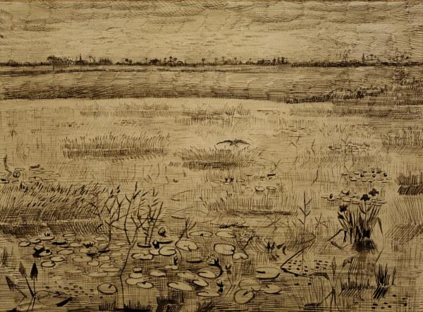 V.van Gogh, Marsh w.Water Lillies/ 1881 a Vincent Van Gogh