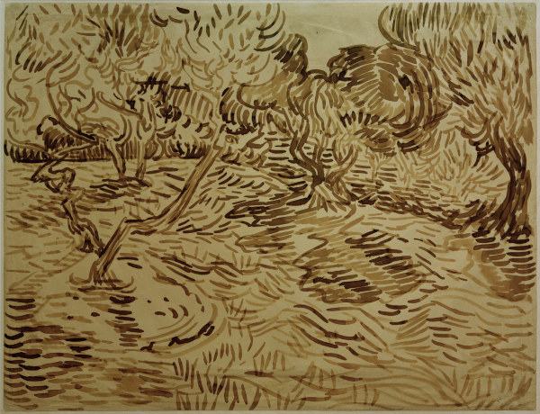 V.van Gogh, Olive Grove / 1889 a Vincent Van Gogh